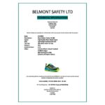 Sport Shoes Neon Blue and Green Safety Trainer - Image 3